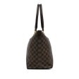 Louis Vuitton Damier Ebene Saleya MM (Y7EqQQ) Hot on Sale