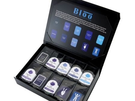 Monteverde Bloo Ink Bottle Gift Set Discount