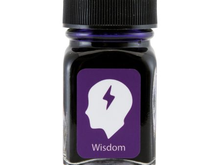 Monteverede Emotion Ink Bottle, Wisdom Purple - 30ml For Cheap