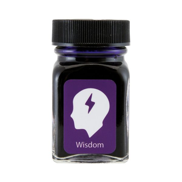 Monteverede Emotion Ink Bottle, Wisdom Purple - 30ml For Cheap