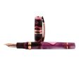 Visconti Homo Sapiens Fountain Pen - Iris Garden (Limited Edition) on Sale